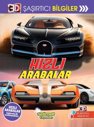 Hızlı Arabalar 3D