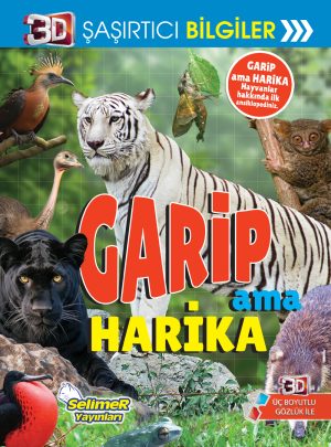 Garip Ama Harika 3D